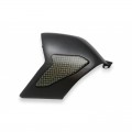 CNC Racing Carbon Fiber / Kevlar Swingarm Cover for Ducati Panigale V4 / S / R / Speciale CNC Racing Carbon Fiber / Kevlar Swingarm Cover for Ducati Panigale V4 / S / R / Speciale
